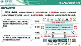 泛在電力物聯(lián)網(wǎng)下的智能傳感與人工智能技術(shù)融合創(chuàng)新——基于許繼集團(tuán)翟登輝會(huì)議報(bào)告的研究與應(yīng)用展望
